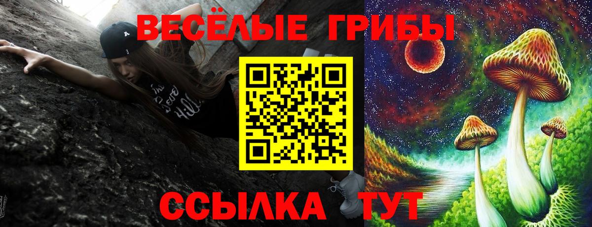 Псилоцибиновые грибы мухоморы  Вход с VPN  сколько стоит  Нефтекумск 